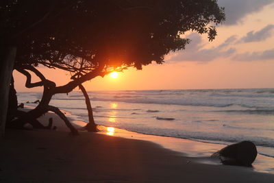 Scenic view of beach against sky during sunset