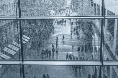 Reflection of trees on glass window