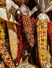 Close-up of vegetables for sale at market stall