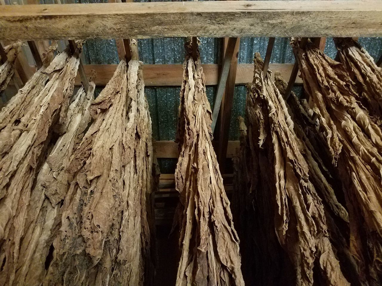 HIGH ANGLE VIEW OF ROPES HANGING ON WOODEN POST