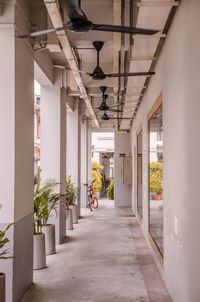 Rear view of man in corridor of building