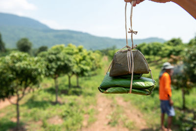 Rear view of man holding rope hanging on field