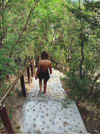 Rear view of woman walking on footpath in forest
