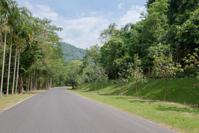 Road amidst trees and plants against sky