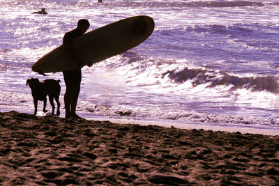 Dog on beach