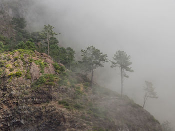 In the nountains of madeira