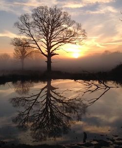 Silhouette bare tree by lake against sky during sunset