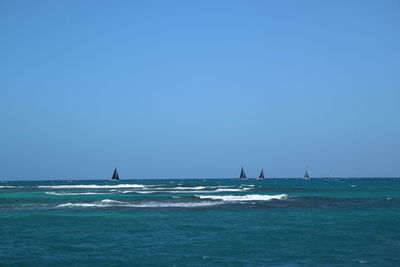 Sailboat sailing on sea against clear sky