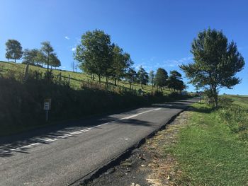 Road amidst trees against clear sky