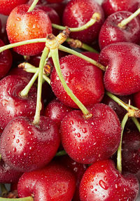 Macro shot of fresh cherries