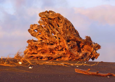 Rock formations in a desert