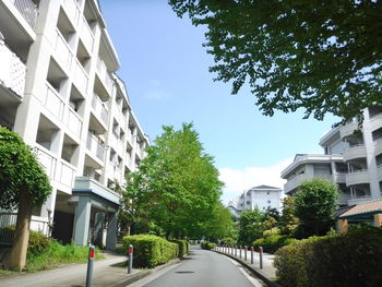 Street amidst buildings against sky