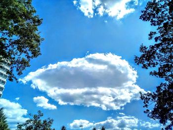 Low angle view of trees against blue sky