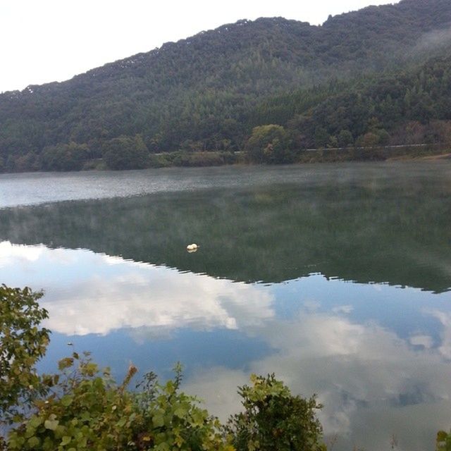 reflection, lake, tree, water, tranquil scene, tranquility, scenics, beauty in nature, sky, nature, mountain, standing water, bird, idyllic, animal themes, calm, wildlife, non-urban scene, green color, outdoors