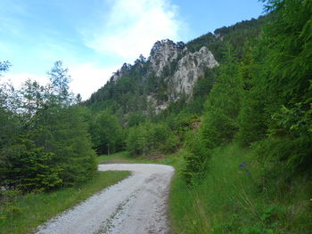 Road amidst trees against sky