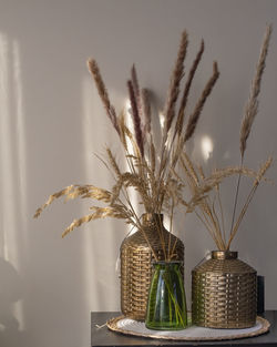 Some dried plants in corner of a room.in gold and green colored vase or plant pot on table at home.