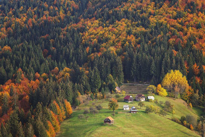 High angle view of trees on landscape during autumn