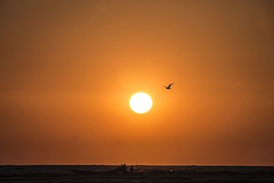 Silhouette bird flying over sea against orange sky