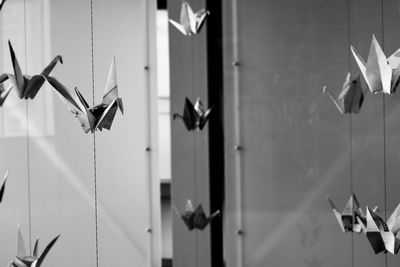 Close-up of clothes hanging on wall