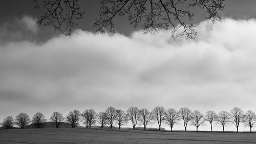 Bare trees on field against sky during winter