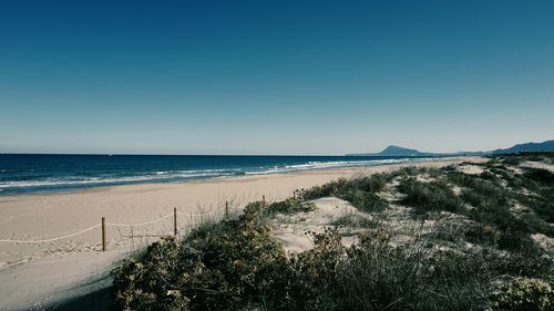 Scenic view of beach against clear blue sky