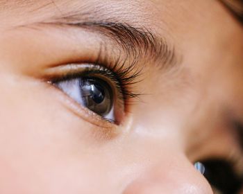 Close-up of human eye