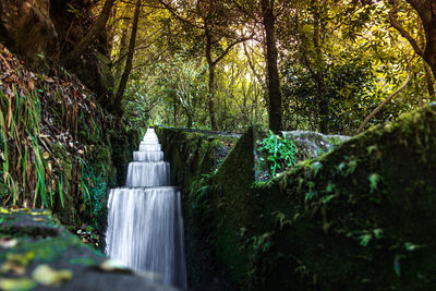 Scenic view of waterfall in forest