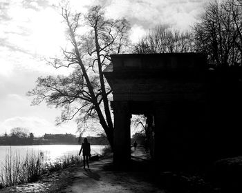 Bare trees by river