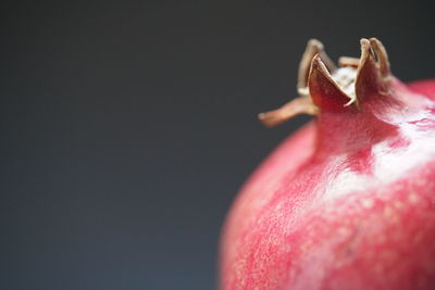 Close-up of strawberry over black background