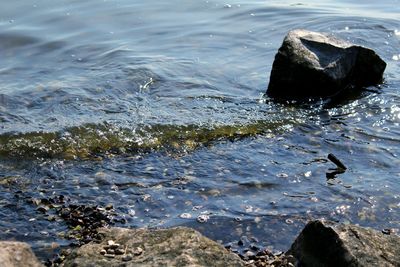 Rocks in sea