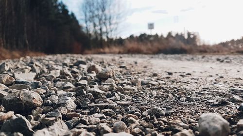 Close-up of pebbles on landscape against sky