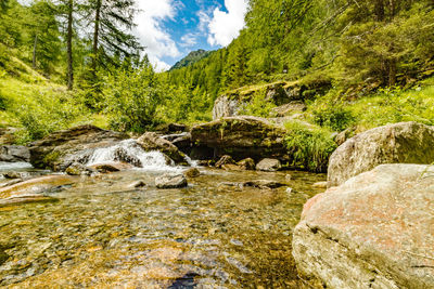 Stream flowing through rocks in forest