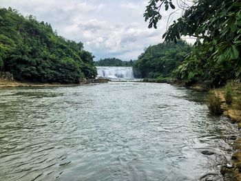 Scenic view of river amidst trees in forest against sky