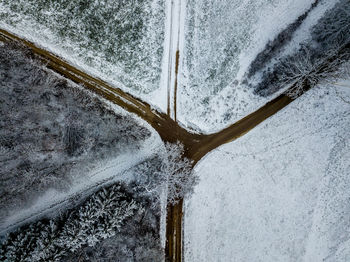 Close-up of frozen plant on land