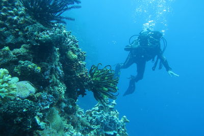 Person swimming in sea