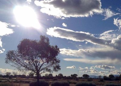 Scenic view of landscape against cloudy sky