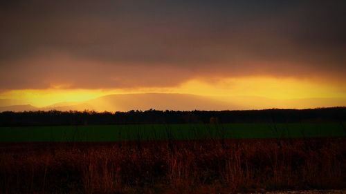 Scenic view of field against sky during sunset