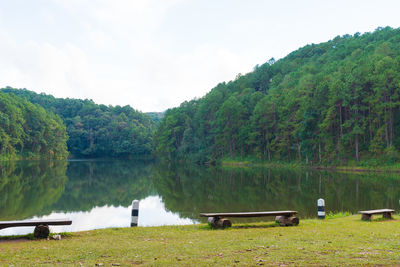 Scenic view of lake by trees against sky