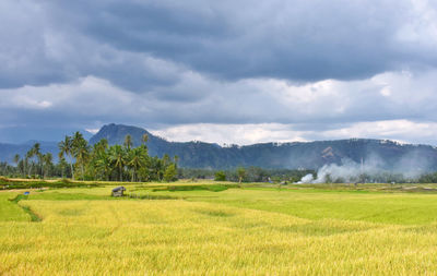 Scenic view of field against cloudy sky