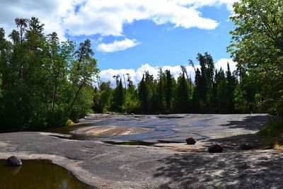 Scenic view of waterfall in forest against sky