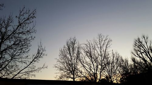 Low angle view of bare trees against clear sky