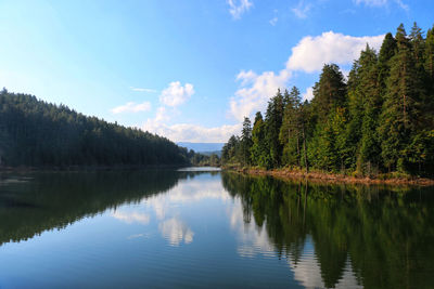 Scenic view of lake by trees against sky