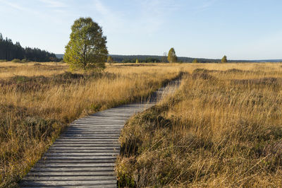 Dirt road on field against sky