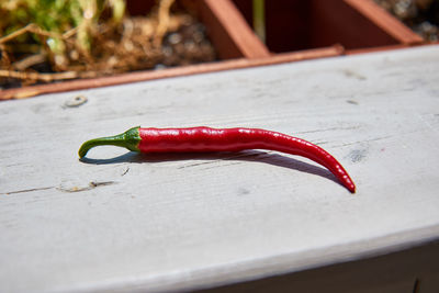 Close-up of red chili pepper on table