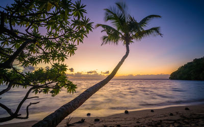 Sunset on the beach