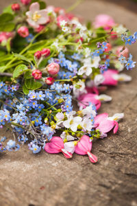 High angle view of pink flowering plant on table