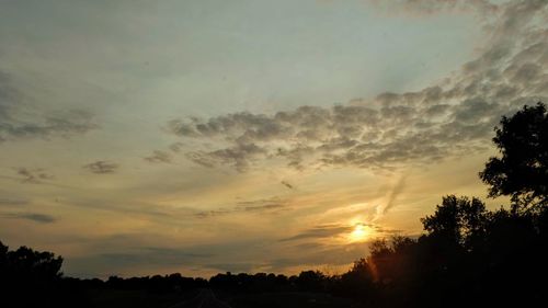 Low angle view of silhouette trees against sky during sunset