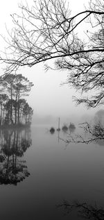 Scenic view of lake against sky during foggy weather