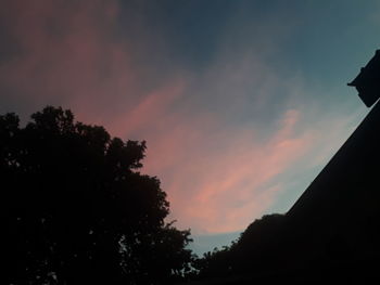 Low angle view of silhouette trees against sky