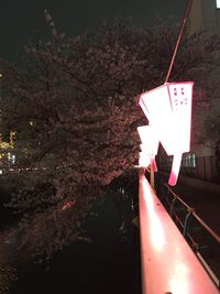 Close-up of illuminated red light